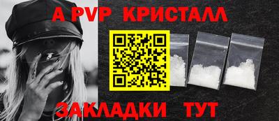 кокс Кингисепп