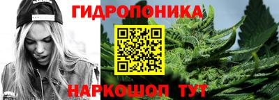 кокс Кингисепп