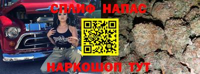 кокс Кингисепп