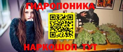 шишки Кимры