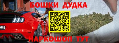 кокс Кингисепп