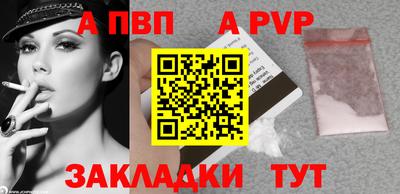 кокс Кингисепп