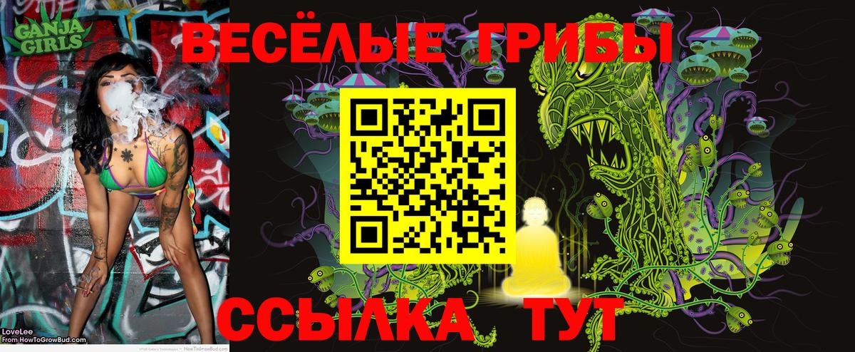 Краснодар  Псилоцибиновые грибы ЛСД  Вход с VPN 